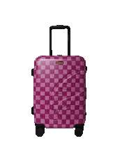 A.I. AFRICAN INTELLIGENCE THE SUNSET RESET CARRY ON LUGGAGE - SANDFLOWER COLLAB