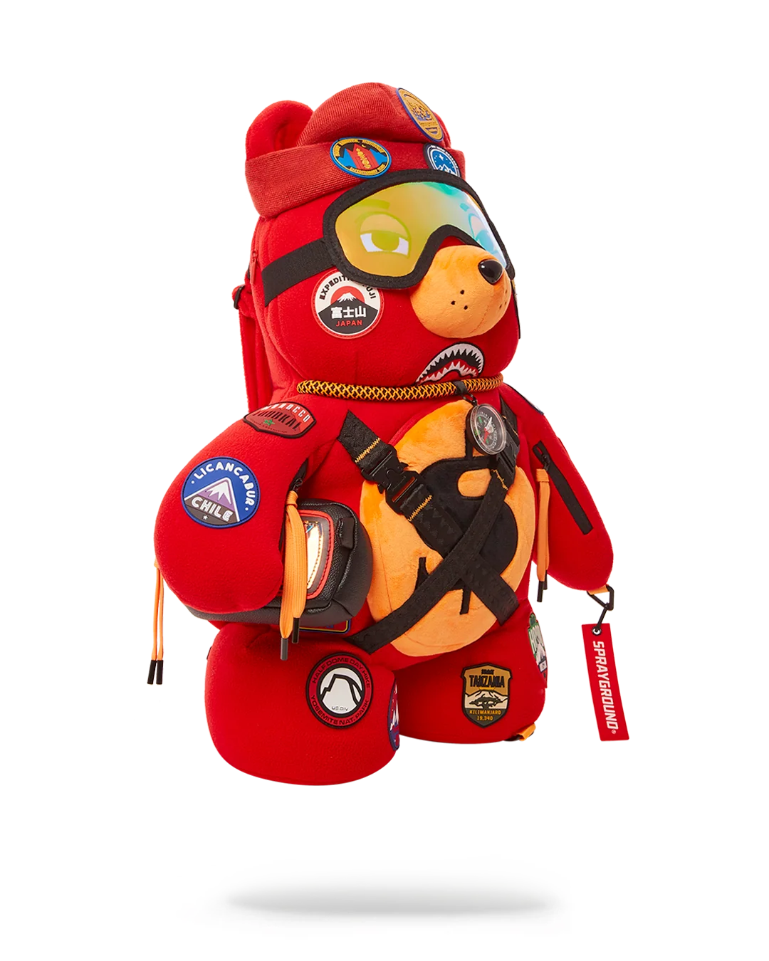 THE GLOBAL EXPEDITION MONEYBEAR TEDDYBEAR BACKPACK