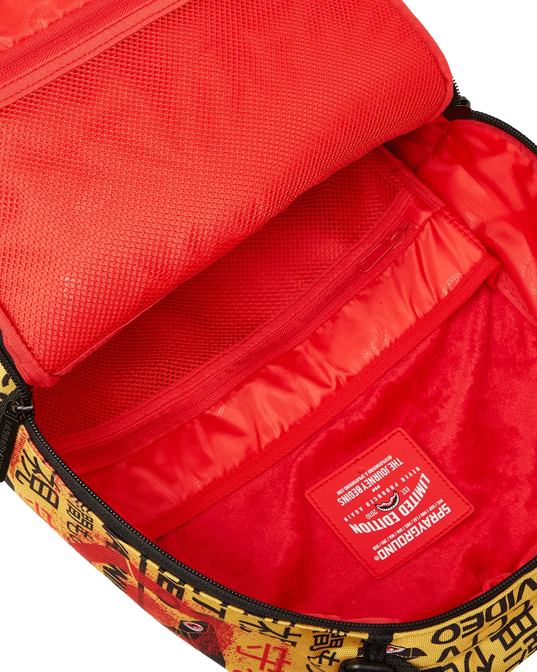 CCTV SECTOR 404 BACKPACK