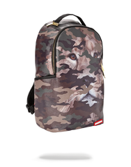 LION CAMO