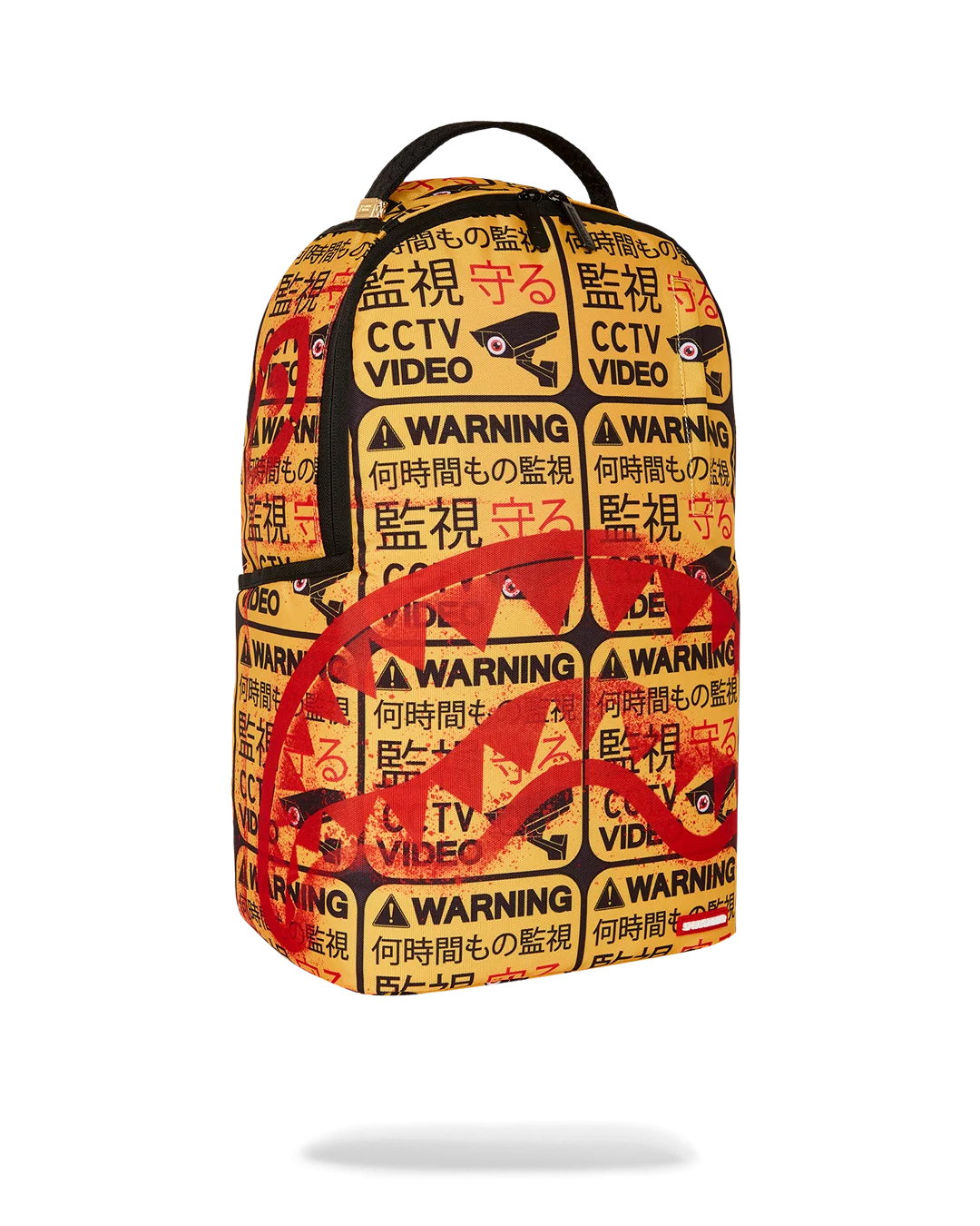 CCTV SECTOR 404 BACKPACK