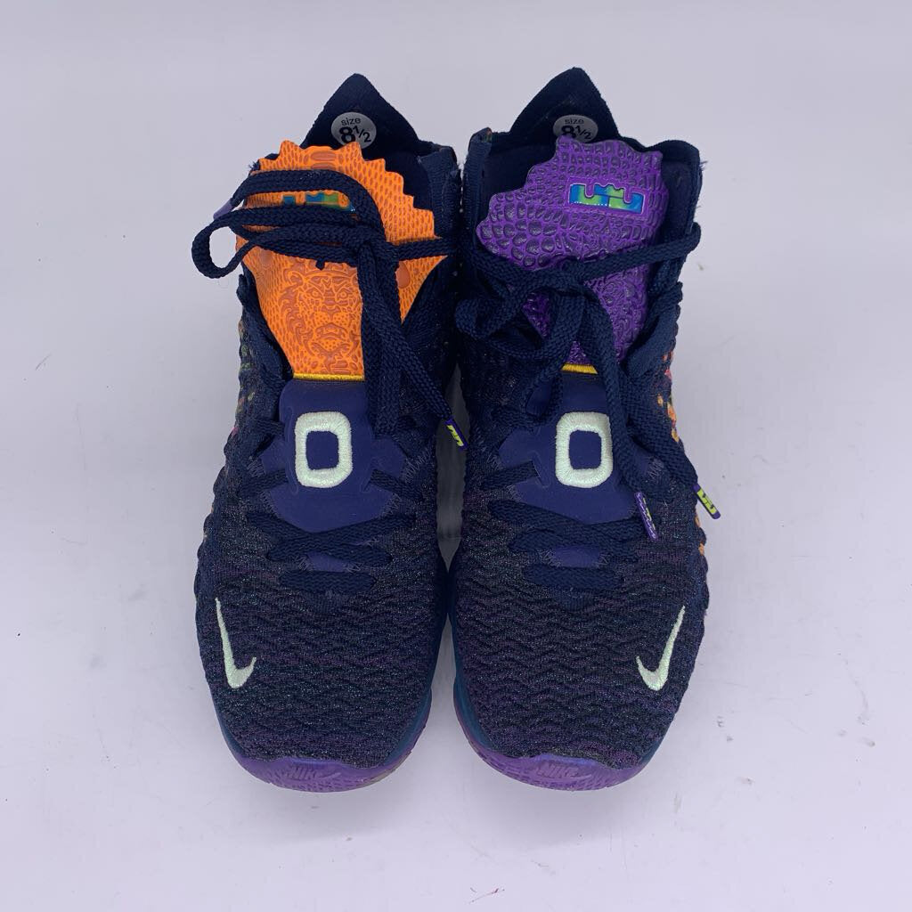 Nike LeBron 17 Shoes