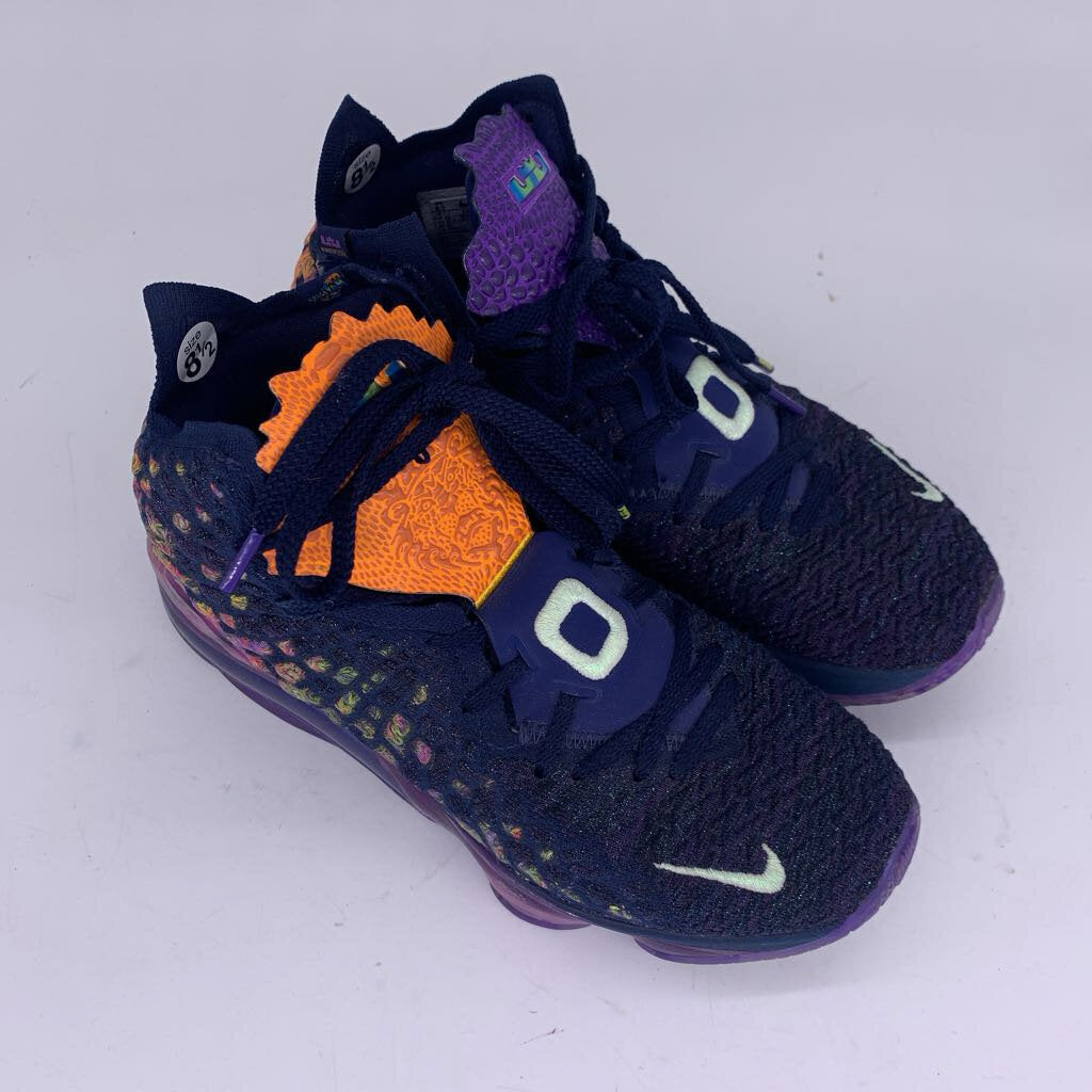 Nike LeBron 17 Shoes