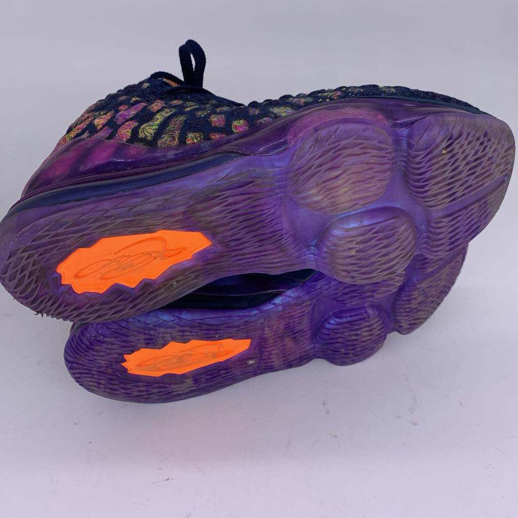 Nike LeBron 17 Shoes