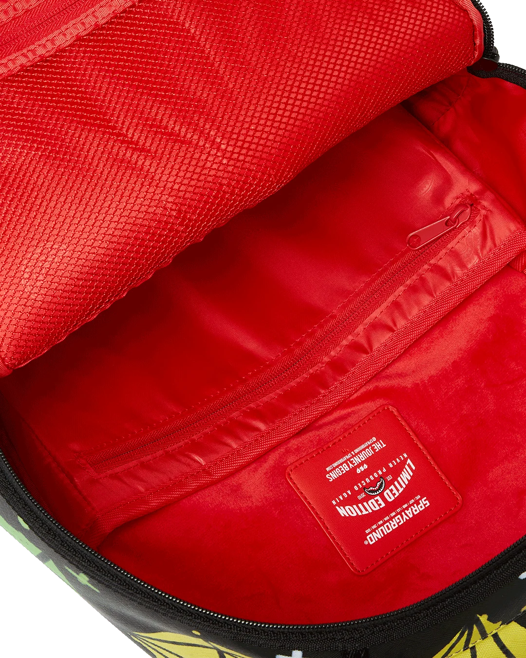 SKY FULL OF DREAMS DLXV BACKPACK
