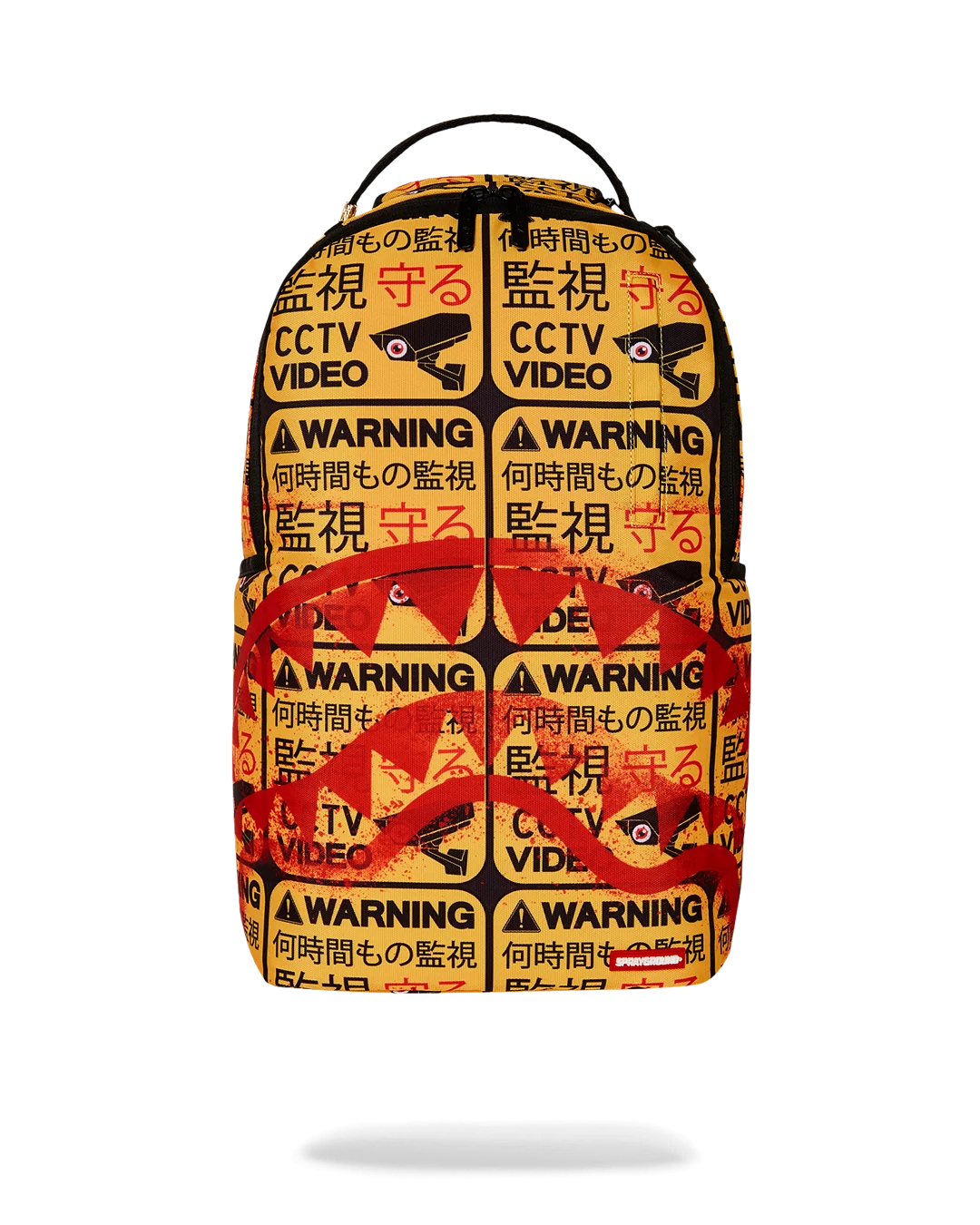 CCTV SECTOR 404 BACKPACK