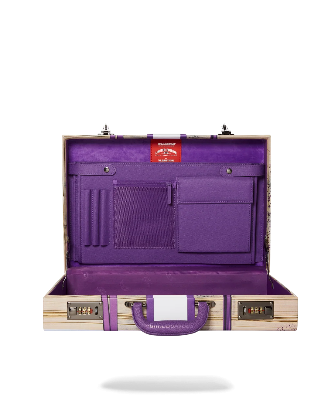 BILLIONS IN THE BANK BRIEFCASE
